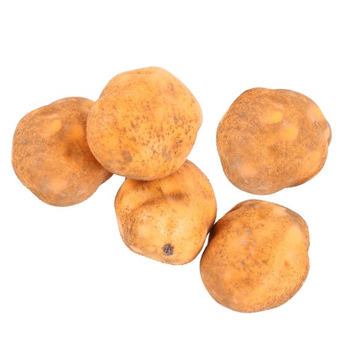 5pcs realistic artificial - 5pcs,